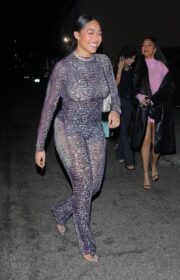 Jordyn Woods Night Out Style in Sheer Dress at Craig’s January 2022