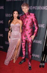 Gorgeous Megan Fox in Sparkling Pink Gown at the Good Mourning LA Premiere 2022