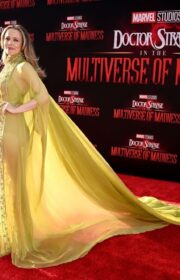 Rachel McAdams in Sheer Elie Saab Dress at Doctor Strange 2 LA Premiere 2022