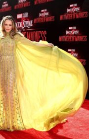 Rachel McAdams in Sheer Elie Saab Dress at Doctor Strange 2 LA Premiere 2022