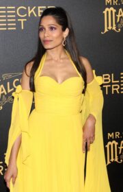 Freida Pinto in Naeem Khan Gown at ‘Mr. Malcolm’s List’ New York Premiere 2022