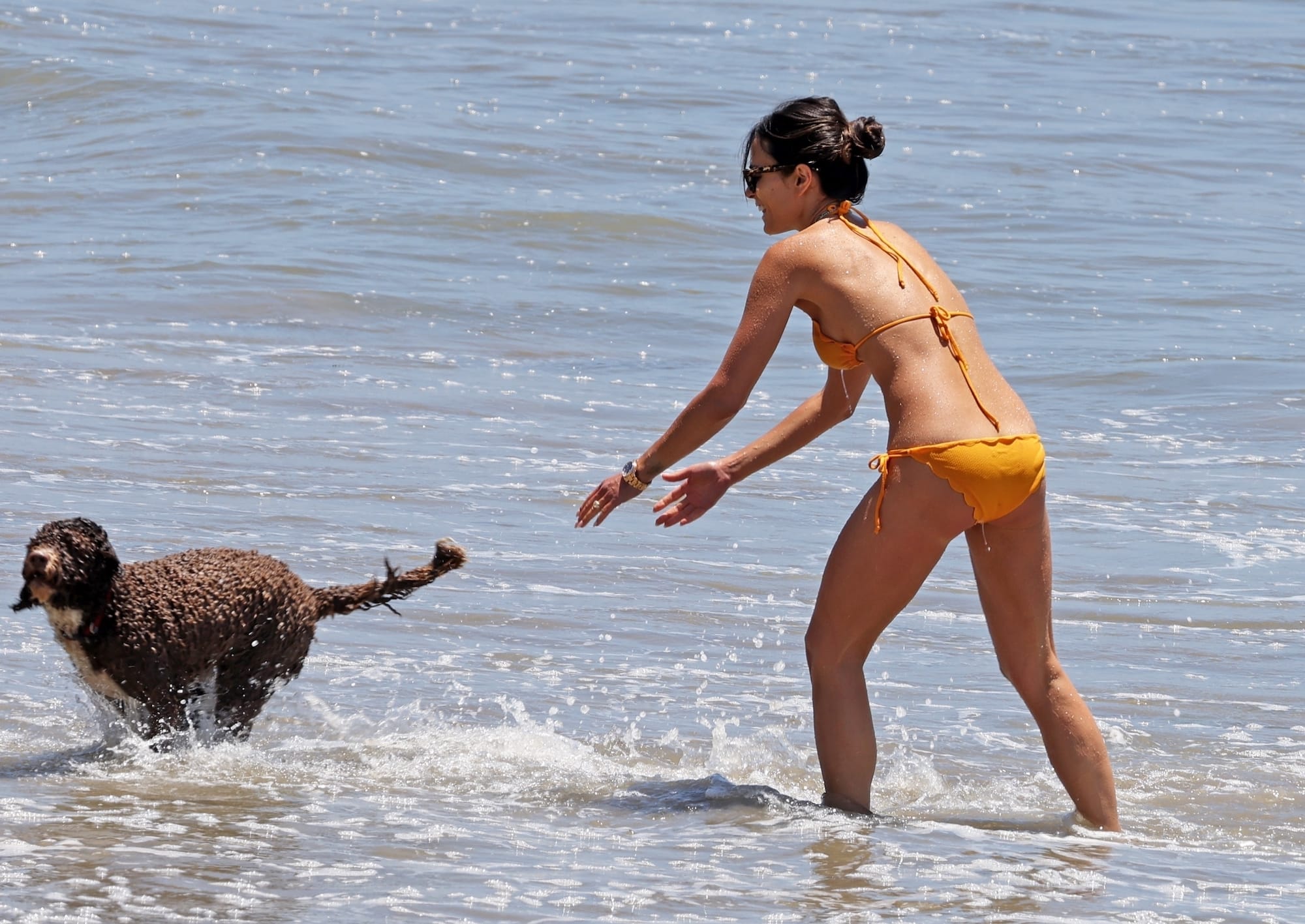 Jordana Brewster playing with her dog at Santa Monica Beach on June 7, 2022.